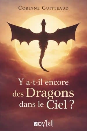 Y a-t-il encore des dragons dans le ciel ?