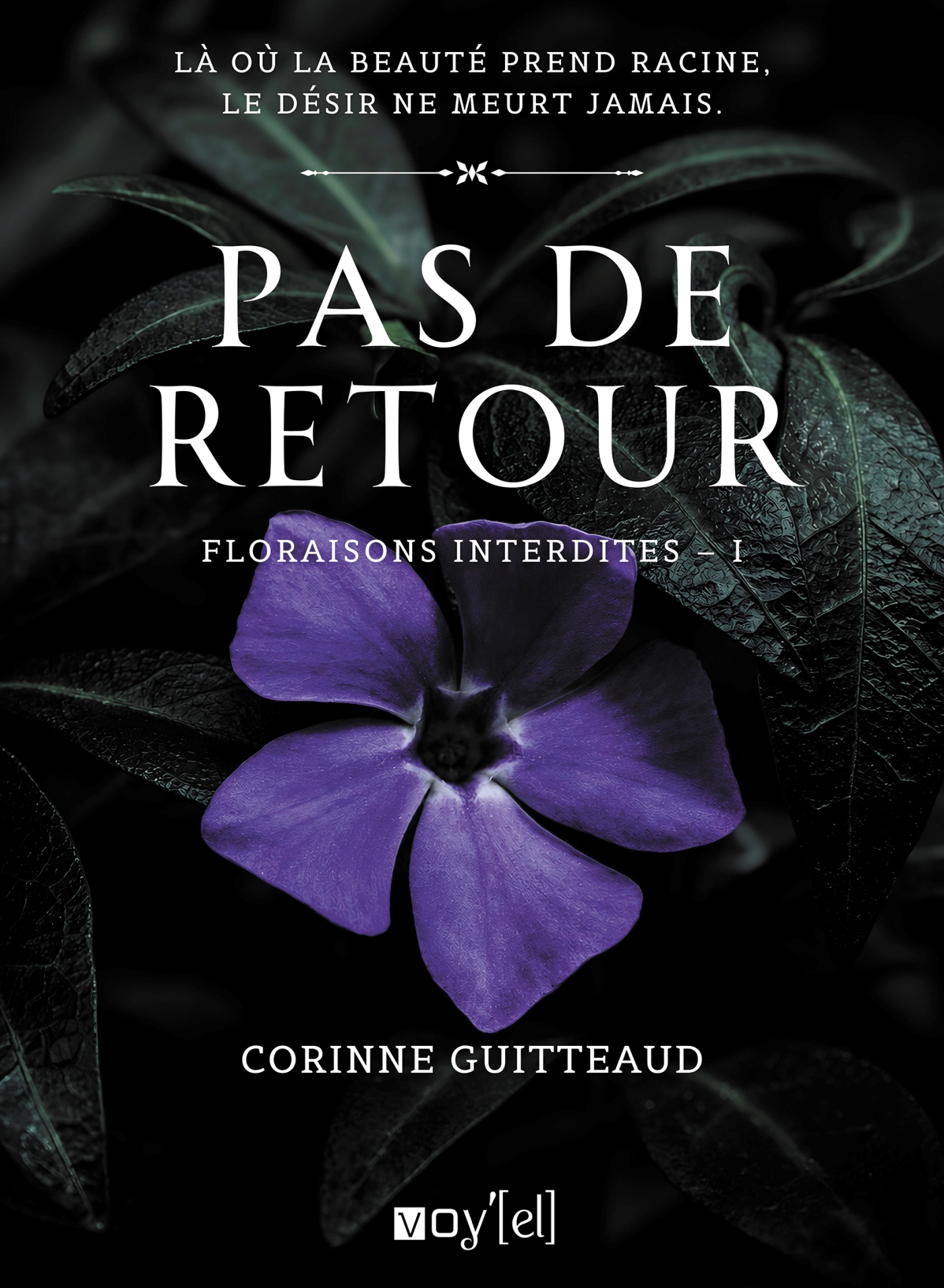 Couverture de la novella Pas de retour